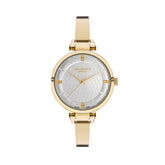 Lee Cooper LE-LC07064.130 silver dial women watch