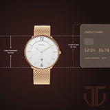 Titan Men's Analog Watch Silver Dial With Golden Stainless Steel Mesh Band , 1849WM01