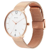 Titan Men's Analog Watch Silver Dial With Golden Stainless Steel Mesh Band , 1849WM01