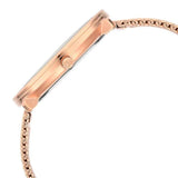 Titan Men's Analog Watch Silver Dial With Golden Stainless Steel Mesh Band , 1849WM01