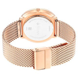 Titan Men's Analog Watch Silver Dial With Golden Stainless Steel Mesh Band , 1849WM01