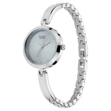 Titan Women's Watch Raga Silver Dial GreyStainless Steel Strap Watch, 2606SM04