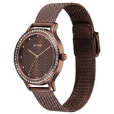 Titan, Men's, Analog Watch, Brown Dial, with Stainless Steel Band, TI-2634QM03