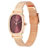 Titan Women's Raga Viva Collection Analog Watch, Brown Dial & Rose Gold Stainless Steel Strap, 2665WM01