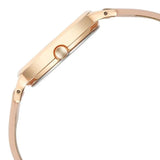 Titan Raga Power Pearls Women's Watch Analog Mother Of Pearl Dial With Pink Leather Strap, 2666WL04