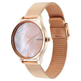 Titan Pastel Dreams Women's Watch Analog Mother of Pearl Dial with Rose Gold Mesh Band, 2670WM09
