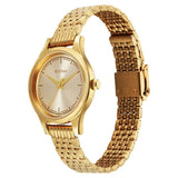 Titan Women's Watch Analog Gold Dial with Gold Stainless Steel Band, 2679YM02