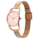Titan Raga Chic Women's Watch Analog Pink Dial Rose Gold Mesh Band, 2696WM01