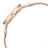 Titan Raga Chic Women's Watch Analog Pink Dial Rose Gold Mesh Band, 2696WM01