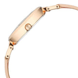 Titan Raga Women's Watch Analog Pink Dial with Pink Leather Strap, 2752WL01