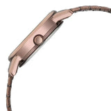 Titan Women's Watch Analog Beige Dial with Brown Stainless Steel Band, 2760QM01