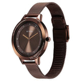 Titan Women's Watch Analog Brown Dial with Brown Mesh Band, 2764QM01
