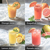 Zen Automatic Citrus Juicer-Single 90W, ZCJ90AT
