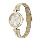 Titan Raga Showstopper Women's Watch Analog Silver Dial with Gold Mesh Band, 95268YM01