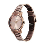 Titan Women's Watch Analog Brown Dial with Brown Stainless Steel Band, 2760QM02