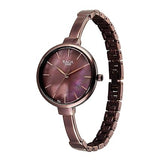 Titan Raga Women's Analog Watch Brown Dial With Brown Stainless Steel Strap , 95273QM01