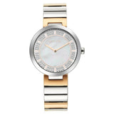 Titan Purple Women's Watch Analog mother of Pearl Dial with Two-Toned Stainless Steel Band, 95162KM01