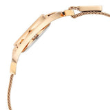 Titan Raga Delight Women's Analog Watch Mother Of Pearl Dial With Brown Stainless Steel Mesh Band, 95203WM01