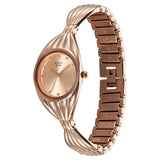 Titan Raga Women's Watch Analog Rose Gold Dial with Rose Gold Stainless Steel Band, 95254WM01