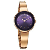 Titan Raga Women's Watch Analog Purple Dial with Rose Gold Stainless Steel Band, 95276WM01