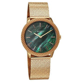 Titan, Men's, Analog Watch, Gold Dial, with Stainless Steel Band, TI-95331WM01