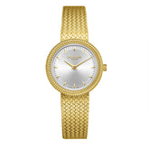 Lee Cooper Women's Watch Analog Silver Dial with Gold Mesh Band, LC08136.130