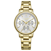 Lee Cooper, Men's, Analog Watch, Silver Dial, LE-LC07946.130