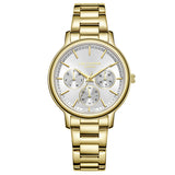 Lee Cooper, Men's, Analog Watch, Silver Dial, LE-LC07946.130
