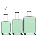 Carlton green luggage