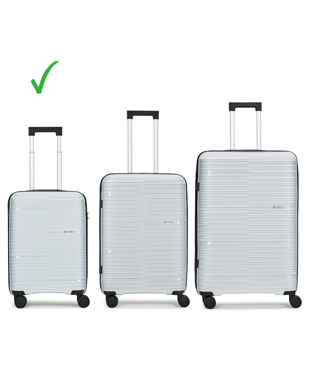 Carlton grey luggage
