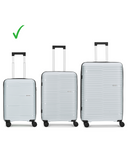 Carlton grey luggage