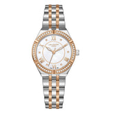 Lee Cooper LE-LC08132.520 women watch
