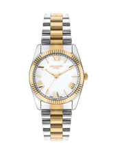 Lee Cooper LE-LC07825.220 silver dial women watch