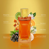 Louis Varel Vibes For Women EDP 100ml, ZVIBESW.50