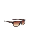Fastrack Men's Sunglasses, Brown Lens, Polarised and UV protected, P448BR7V