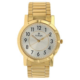 Titan Men's Watch Karishma Collection Analog, Silver Dial Gold Stainless Strap, 1647YM01