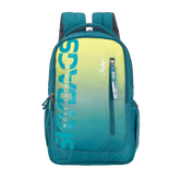 Skybags Flex 22 L Backpack Blue, FLEX22LBLU
