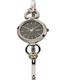 Titan Women's Watch Raga Grey Dial Silver Stainless Steel Strap Watch. 2621QM01