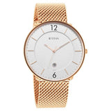 Titan Men's Analog Watch Silver Dial With Golden Stainless Steel Mesh Band , 1849WM01