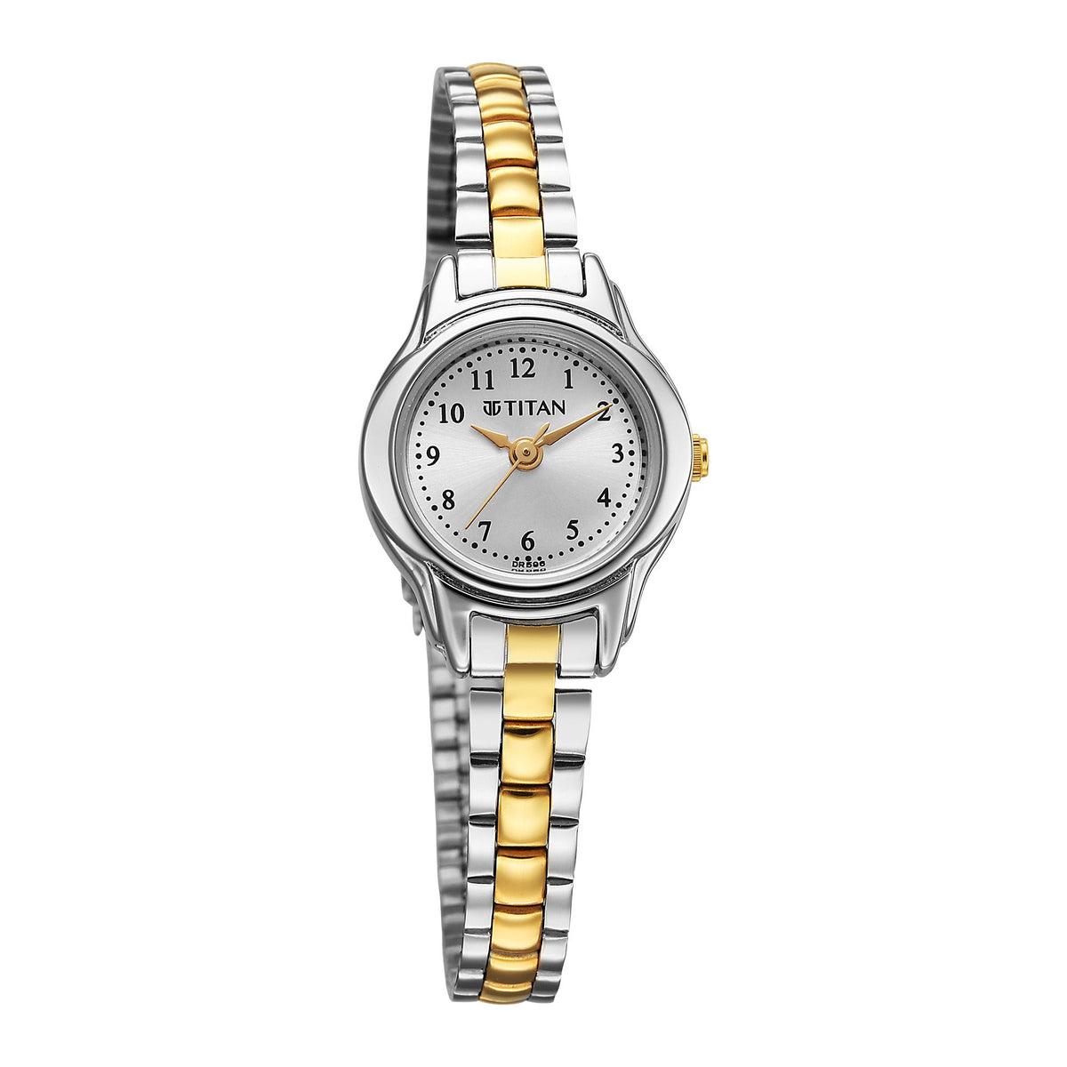 Titan Women's Watch Analog Silver Dial with Two-Toned Stainless Steel Band, 2401BM02