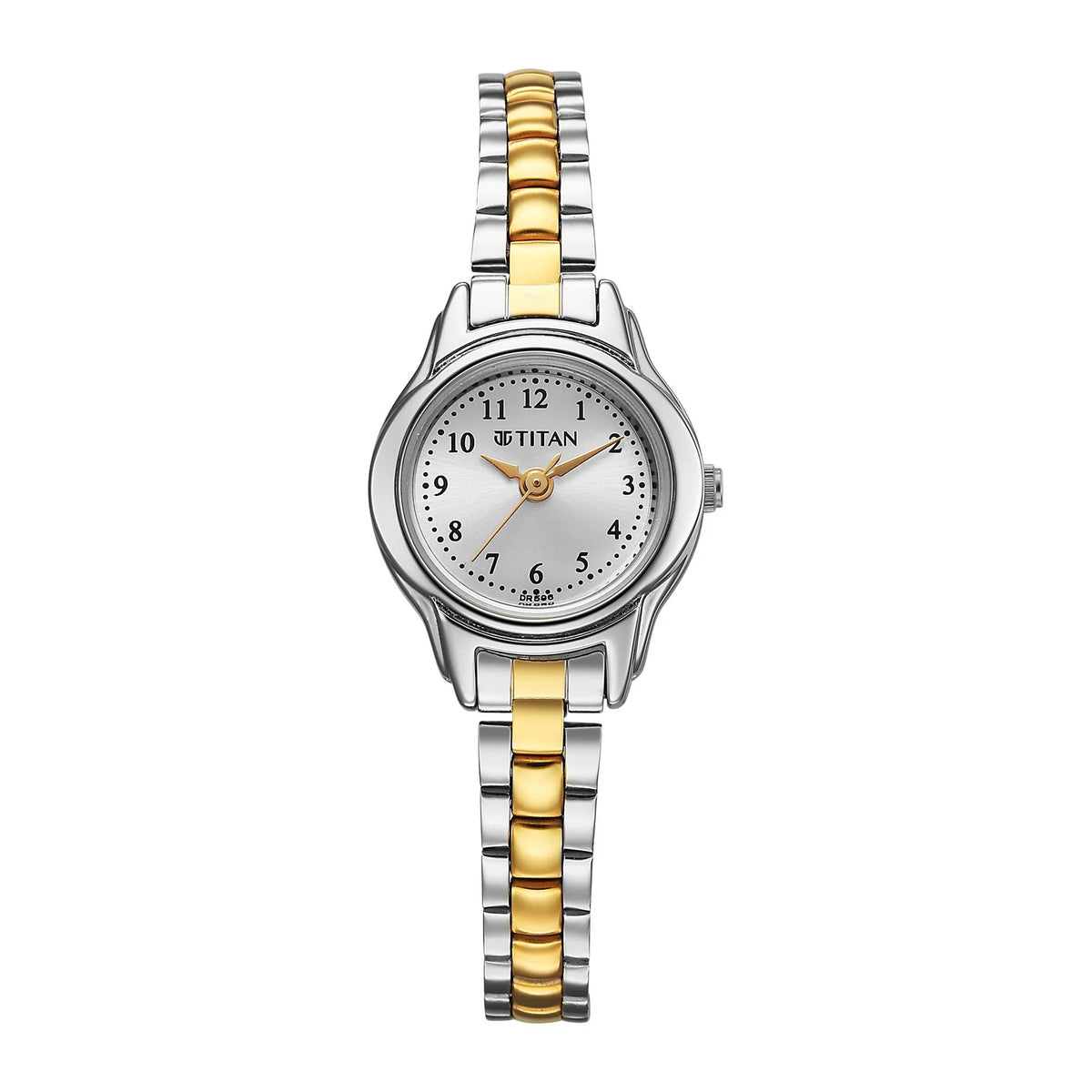 Titan Women's Watch Analog Silver Dial with Two-Toned Stainless Steel Band, 2401BM02