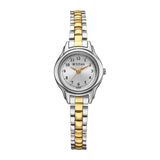 Titan Women's Watch Analog Silver Dial with Two-Toned Stainless Steel Band, 2401BM02