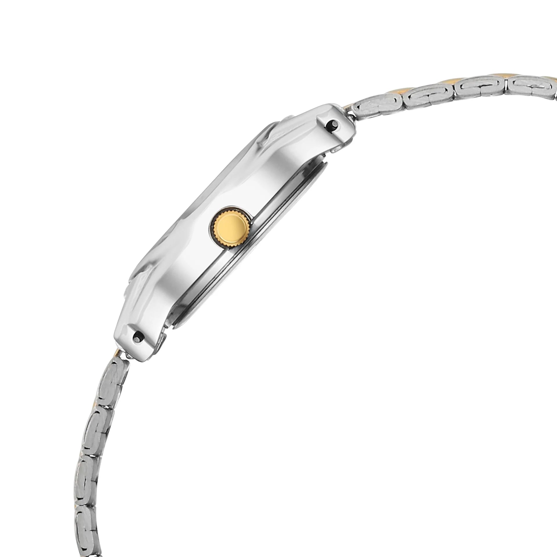 Titan Women's Watch Analog Silver Dial with Two-Toned Stainless Steel Band, 2401BM02