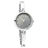 Titan Women's Watch Raga Silver Dial Silver Stainless Steel Strap Watch, 2606SM05