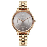 Titan Men's Analog Watch Silver Dial With Golden Stainless Steel Mesh Band , 1849WM01