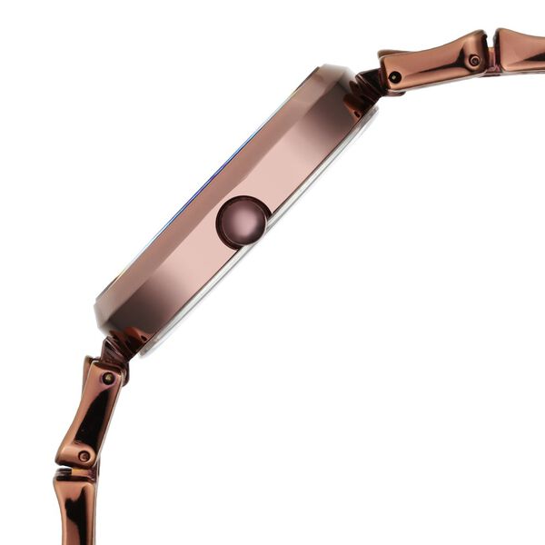 Titan Raga Chic Women's Watch Analog Mother Of Pearl Dial with Brown Stainless Steel Band, 2659QM01