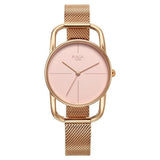 Titan Raga Chic Women's Watch Analog Pink Dial Rose Gold Mesh Band, 2696WM01