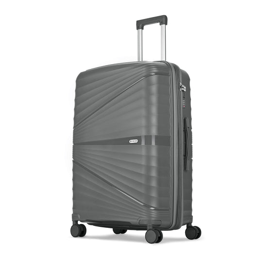 Carlton grey luggage