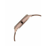 Titan Animalia Women's Watch Analog Rose Gold Dial with Rose Gold Mesh Band, 95130QM01