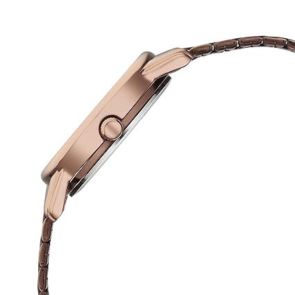 Titan Women's Watch Analog Brown Dial with Brown Stainless Steel Band, 2760QM02